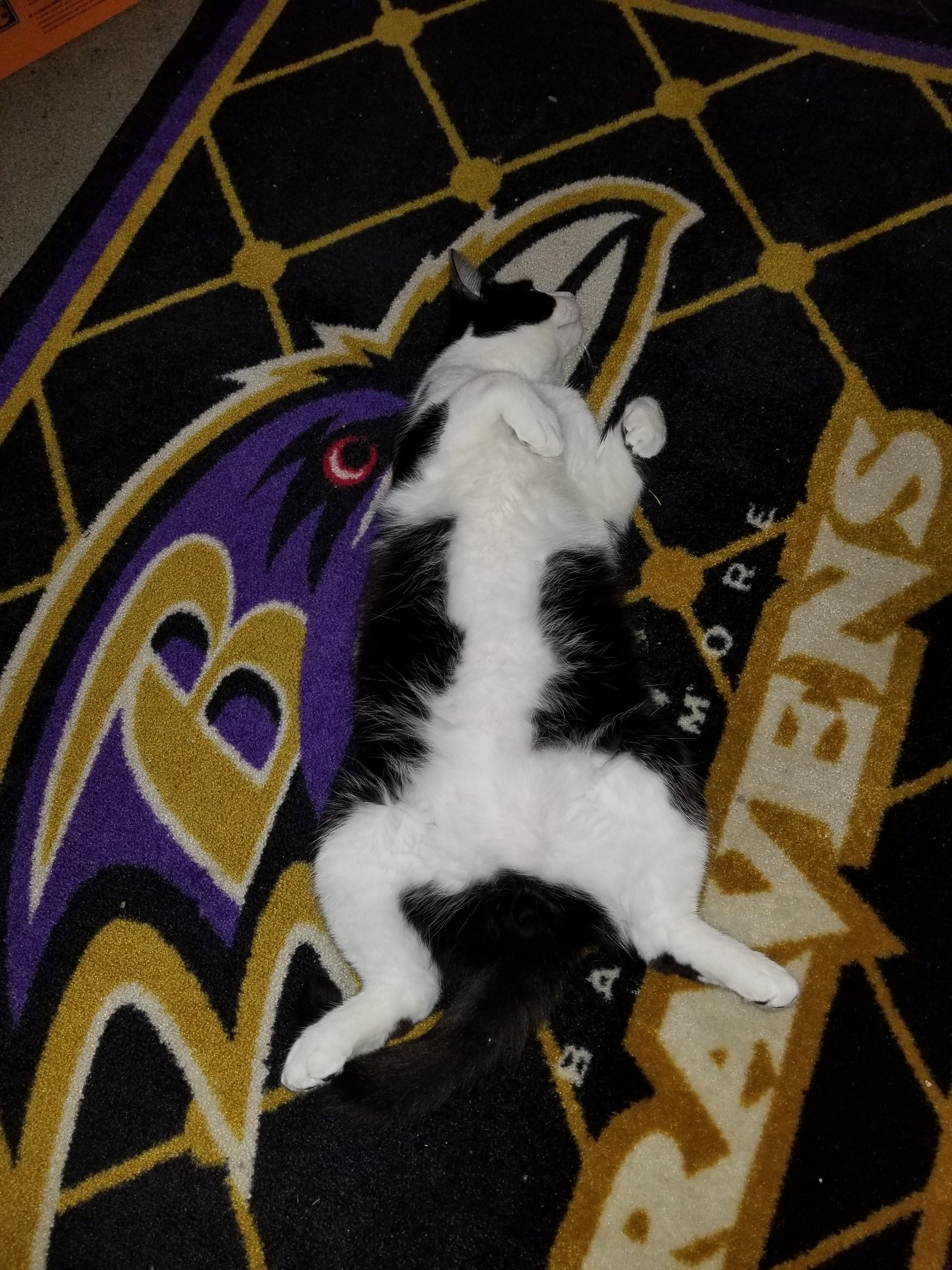 upload_2019-8-24_21-28-31.jpeg