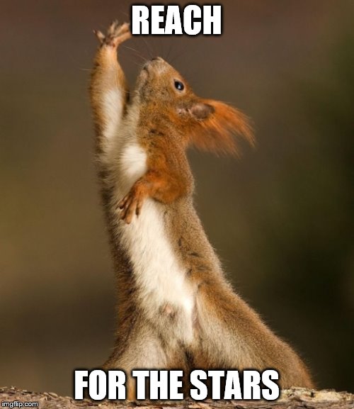 reach.jpg