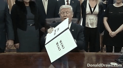 DonaldDraws1670729954626.gif