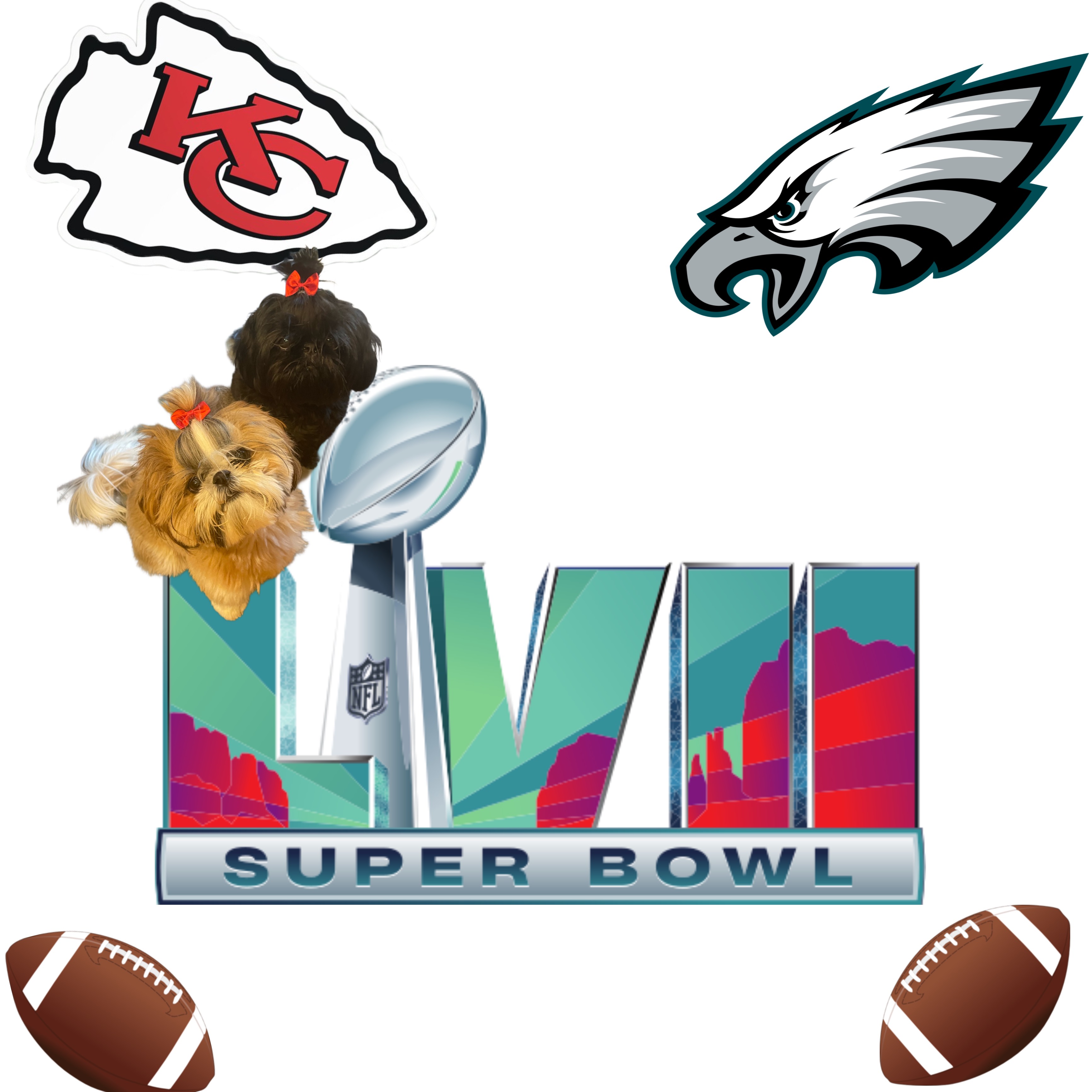 05E2A2FB-FCE3-421D-B755-84F75E218647.jpg