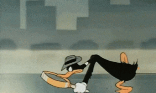 duffy-duck-investigating.gif