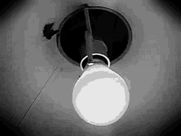 moth-light-bulb.gif