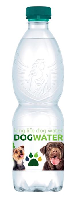 Dog Water.jpg
