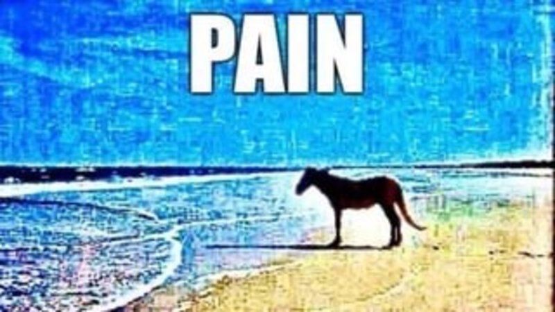 IMG_9533.jpeg