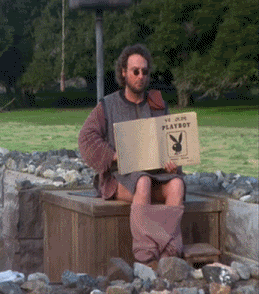 1000027370.gif