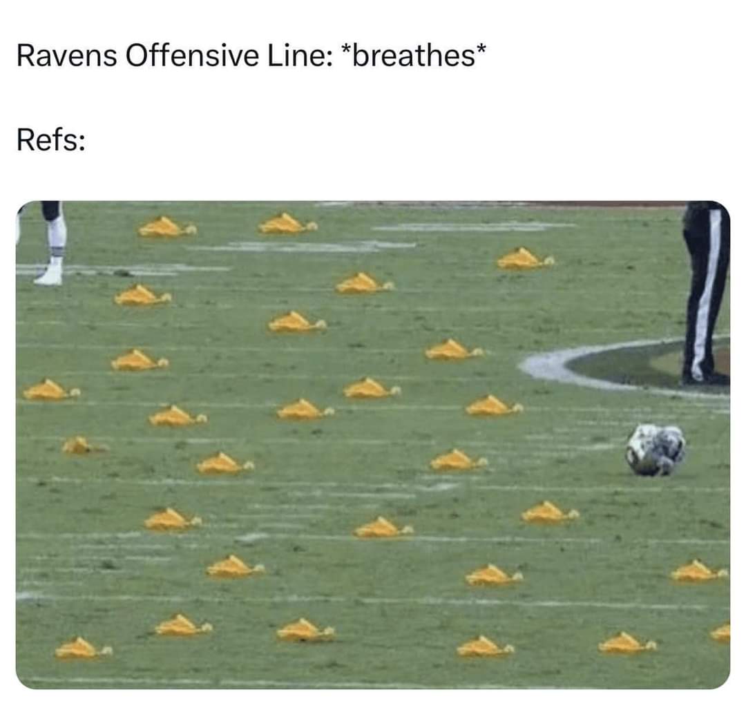 1000013558.jpg