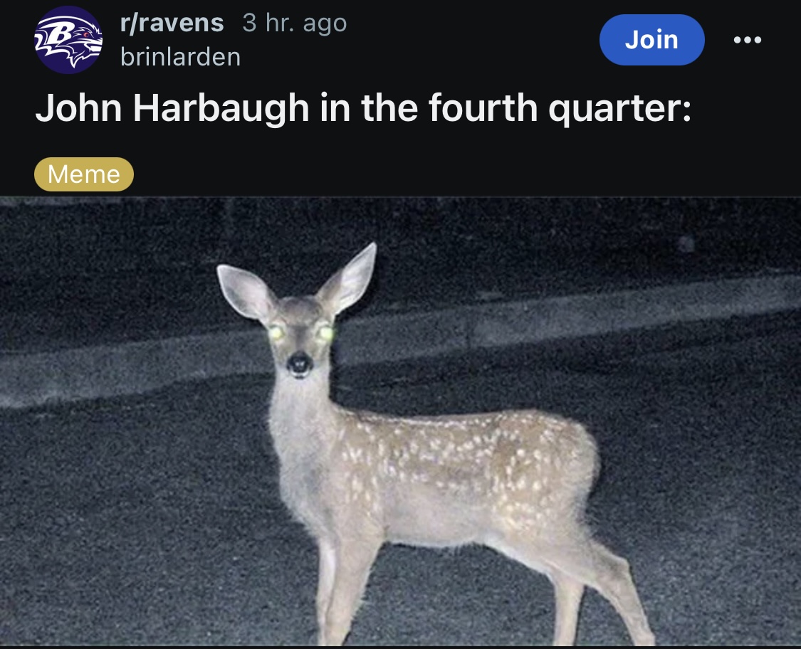 IMG_2657.jpeg