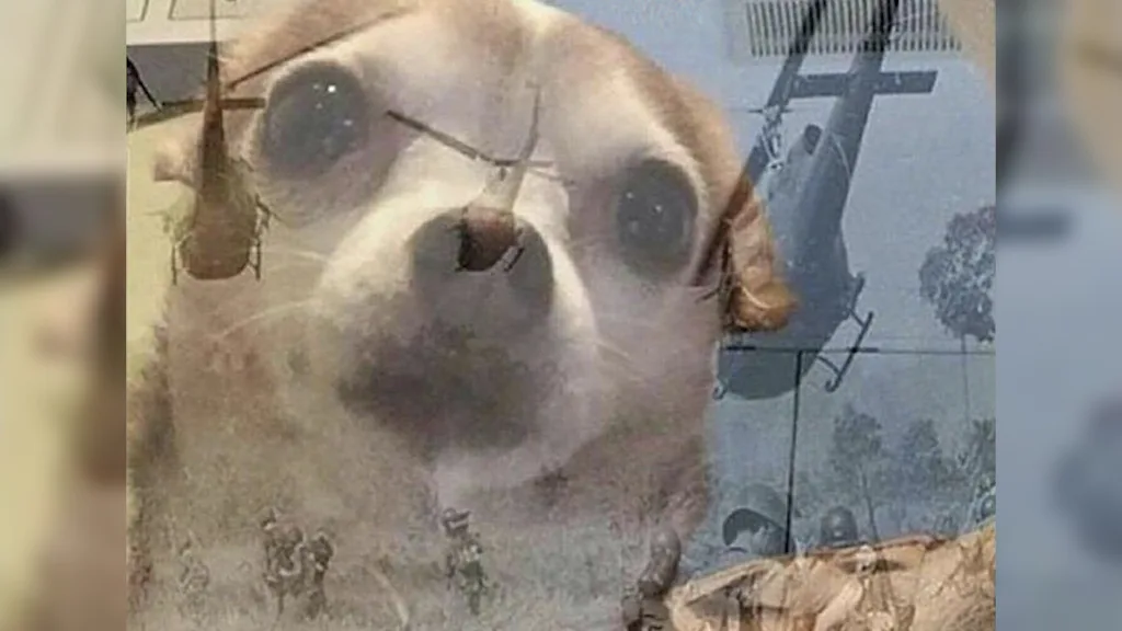 1761536504160.png