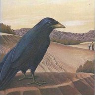 corvo