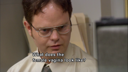 tumblr_lcj8h5rkH51qbp8bso1_500.png