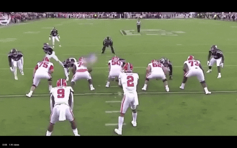 giphy.gif