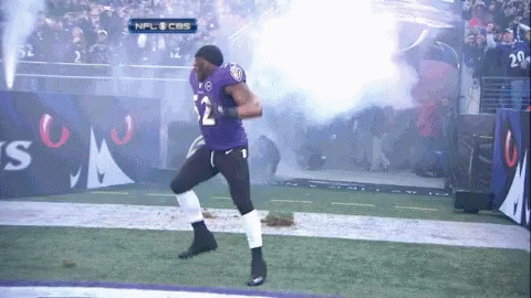 ravens-ray.gif